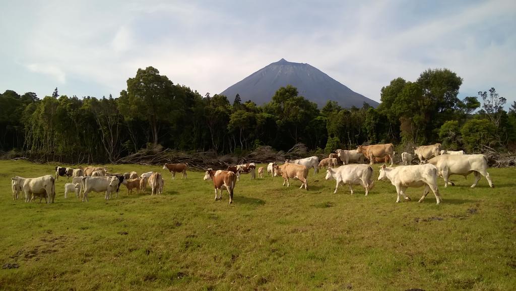 Yes Pico Hotel Santa Luzia  Luaran gambar